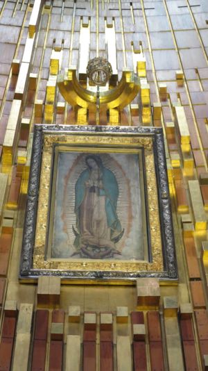 our-lady-of-guadalupe-pilgrimage